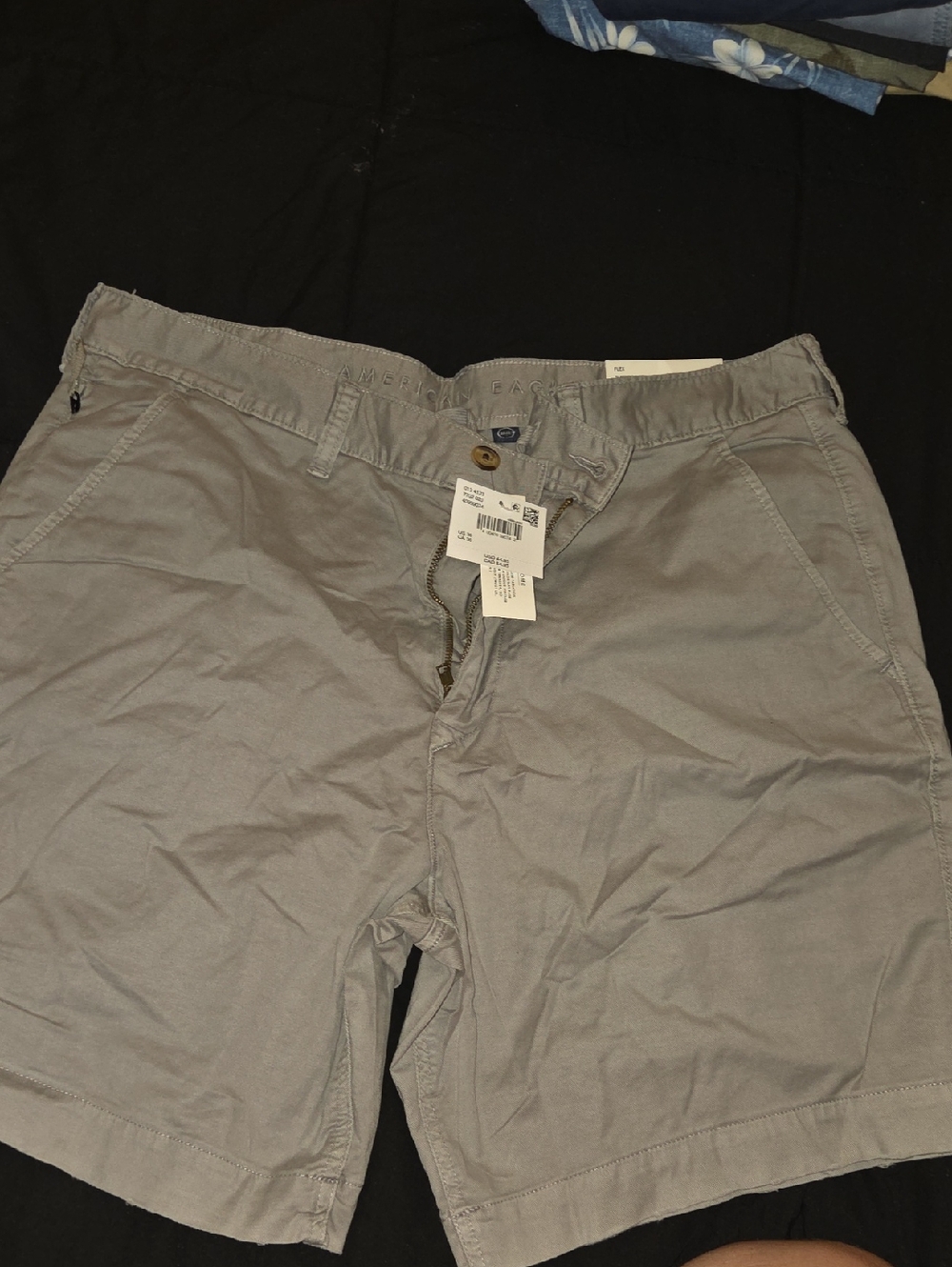 American Eagle Outfitters Light Gray Men’s Casual Shorts